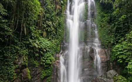 Munduk Forest: Lushness Behind the Mist as the Foundation of North Bali’s Ecological Resilience