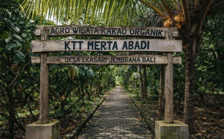 Desa Kakao Jembrana: Surga Tersembunyi di Bali Barat bagi Pecinta Cokelat