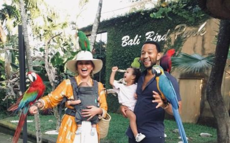 Bali Bird Park in Singapadu Village: Eye-Catching Bird Performances and the Revival of Tropical Nature