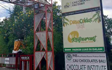 Desa Coklat Bali: Harmoni Kakao, Sawah, dan Eduwisata di Jantung Tabanan