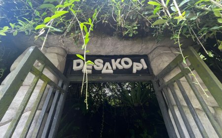 Coffee Among the Rice Fields: An Authentic Coffee Experience in Bali's Coffee Village, Marga Tabanan