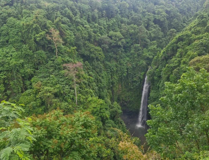 Air Terjun Kapas: Tirai Putih Nan Anggun di Lembah Buleleng