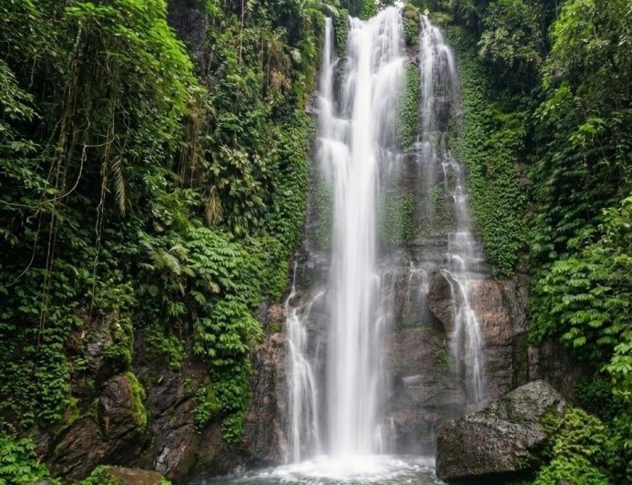 Munduk Forest: Lushness Behind the Mist as the Foundation of North Bali’s Ecological Resilience