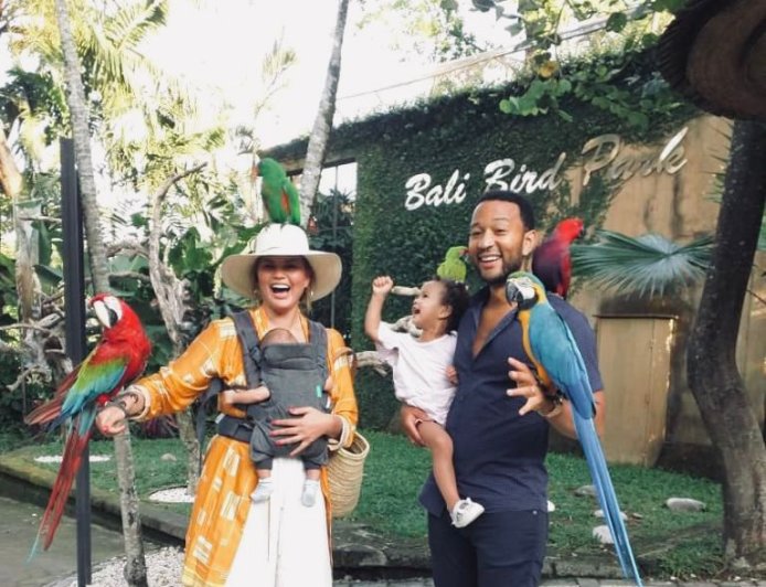 Bali Bird Park in Singapadu Village: Eye-Catching Bird Performances and the Revival of Tropical Nature