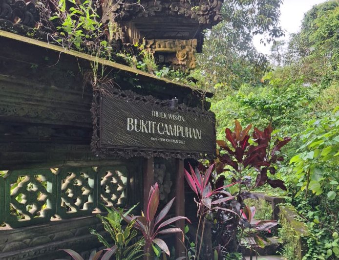 Between Rice Fields and Silence: The Hidden Charm of Bukit Campuhan Mini