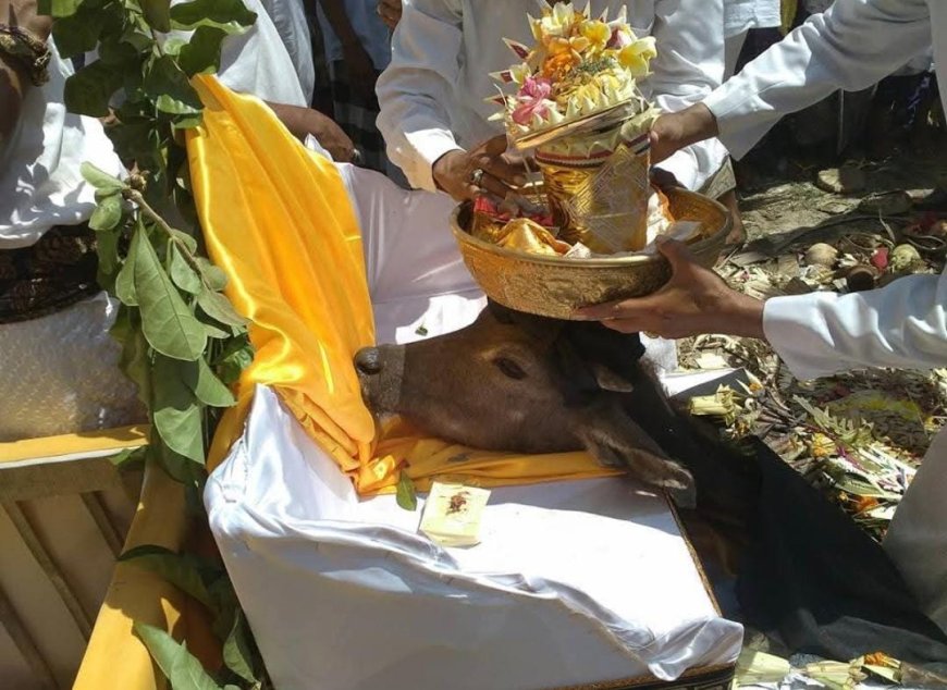 Hidden Behind Time, Pakakalan as a Tradition Determining Sacred Days in Bali (Part 5)