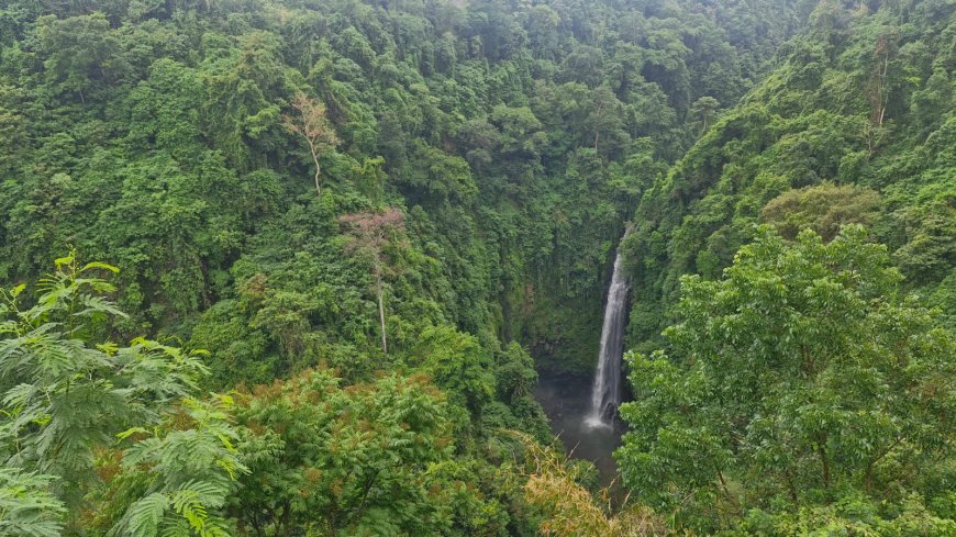 Air Terjun Kapas: Tirai Putih Nan Anggun di Lembah Buleleng