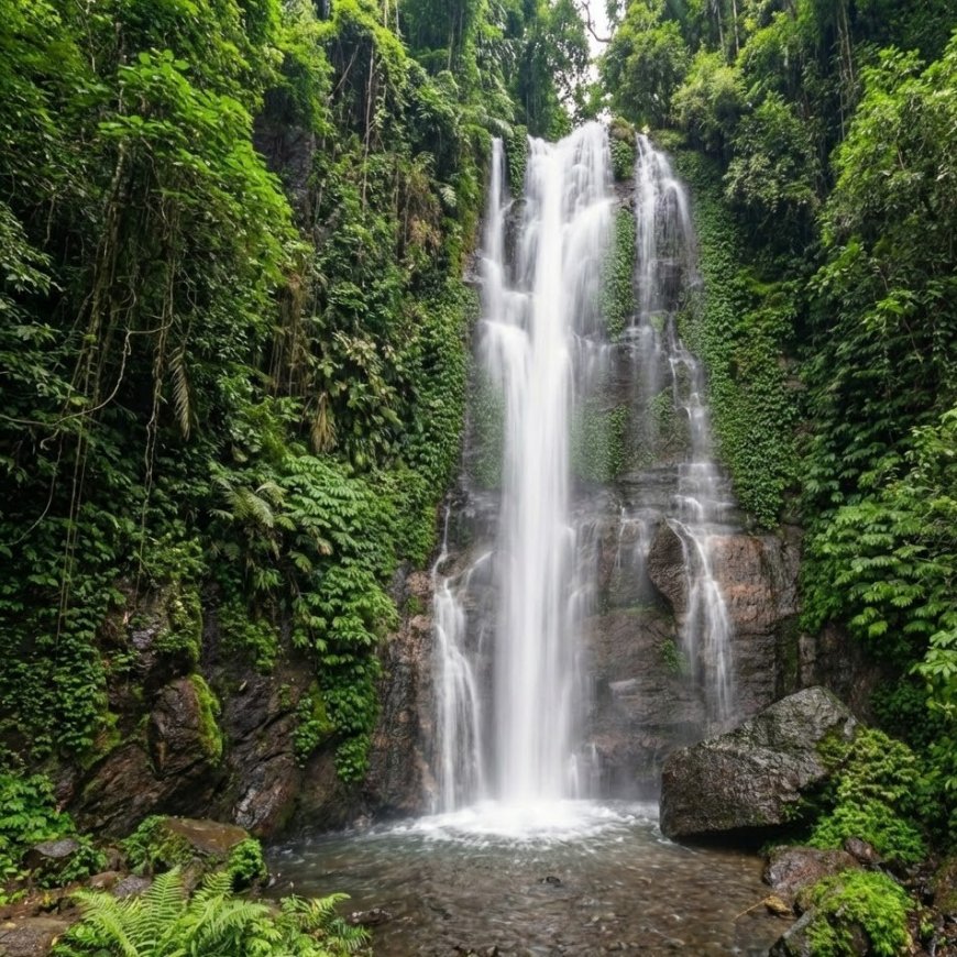 Munduk Forest: Lushness Behind the Mist as the Foundation of North Bali’s Ecological Resilience