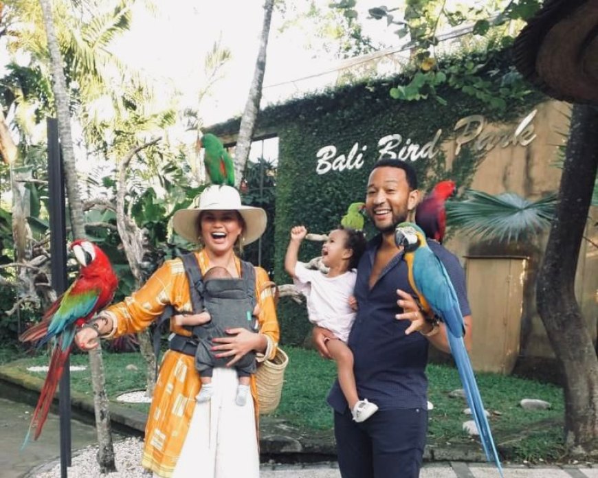 Bali Bird Park di Desa Singapadu: Aksi Burung Memikat Mata dan Menghidupkan Alam Tropis