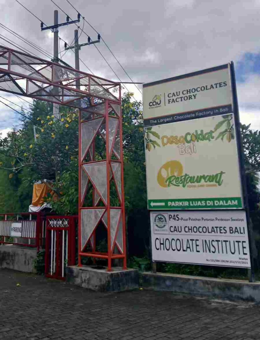 Desa Coklat Bali: Harmoni Kakao, Sawah, dan Eduwisata di Jantung Tabanan