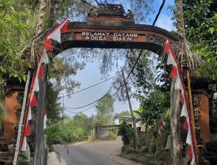 Desa Siakin: Kehidupan Agraris di Tengah Hutan Kintamani