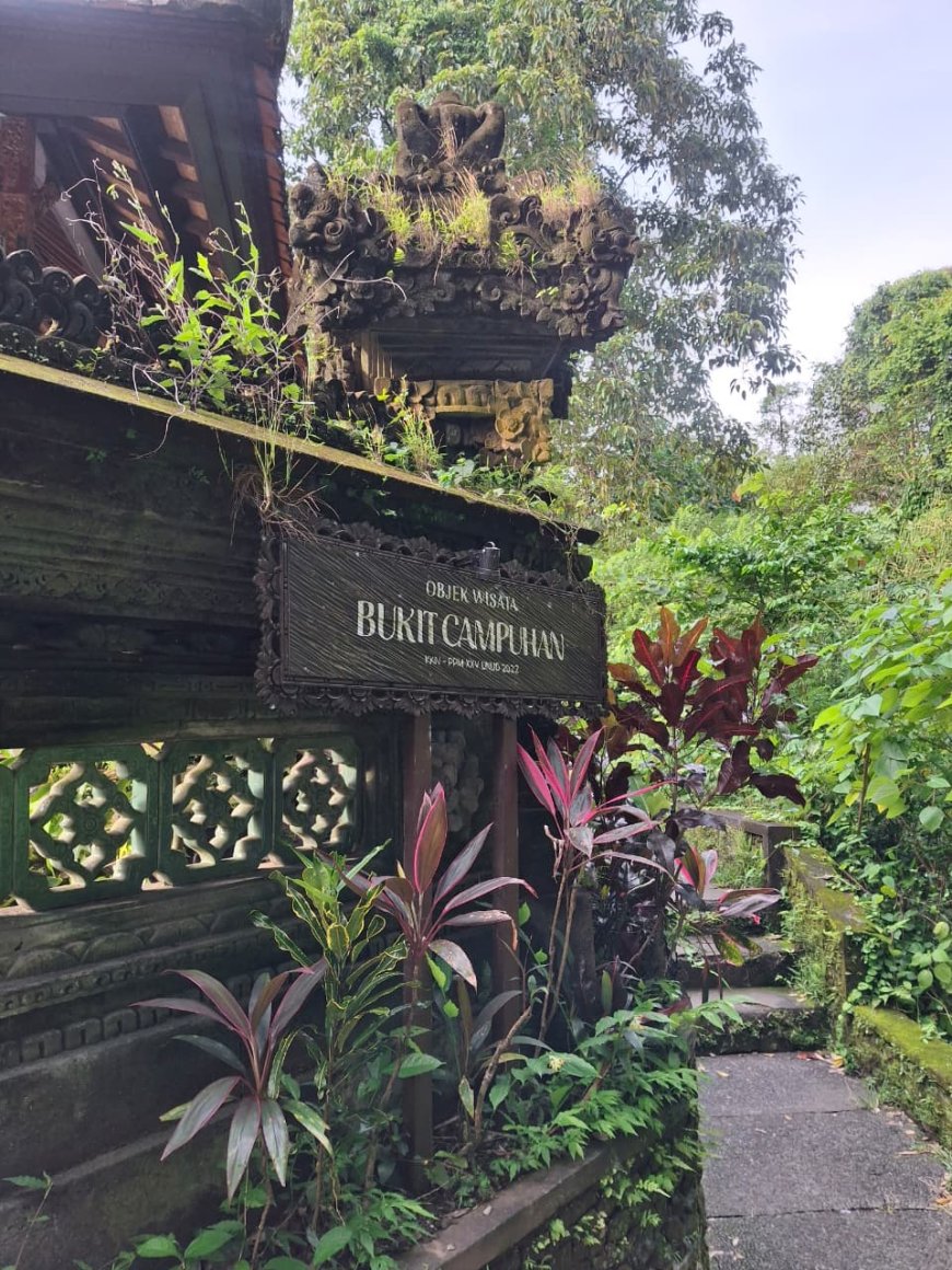 Between Rice Fields and Silence: The Hidden Charm of Bukit Campuhan Mini