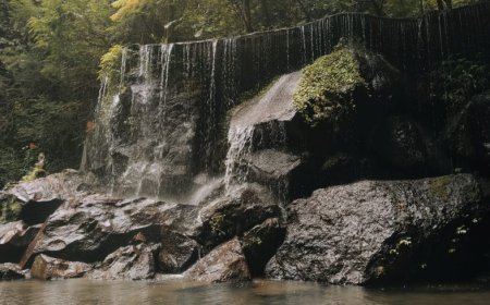 Goa Raja Waterfall: Permata Alam Tersembunyi yang Memikat Hati