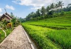 Dudu, A Natural Escape Along the Yeh Ho River
