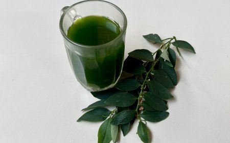 Loloh Don Kayu Manis: A Traditional Usadha Bali Remedy for Sore Throat