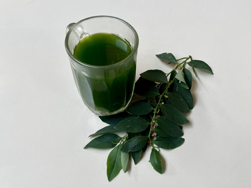 Loloh Don Kayu Manis: A Traditional Usadha Bali Remedy for Sore Throat