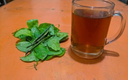Usadha Santen Wood: A Traditional Balinese Medicine Heritage for Healing Stomach Ulcers